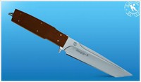 Condor-2 1.jpg